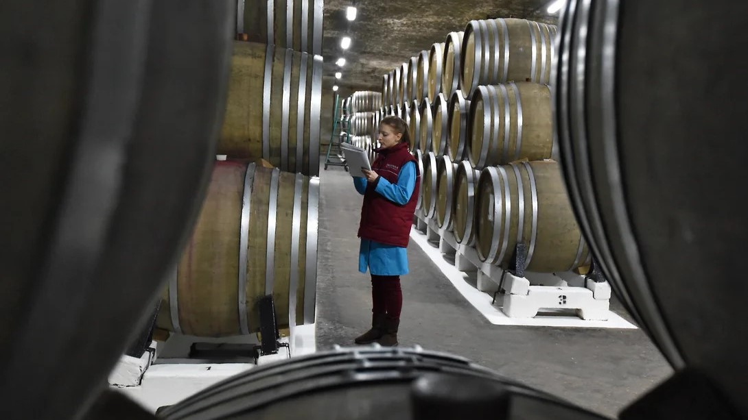 Спрос на винную продукцию опережает производство 