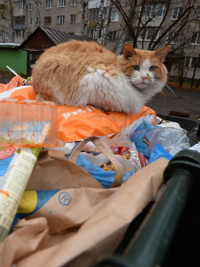 Самарская область