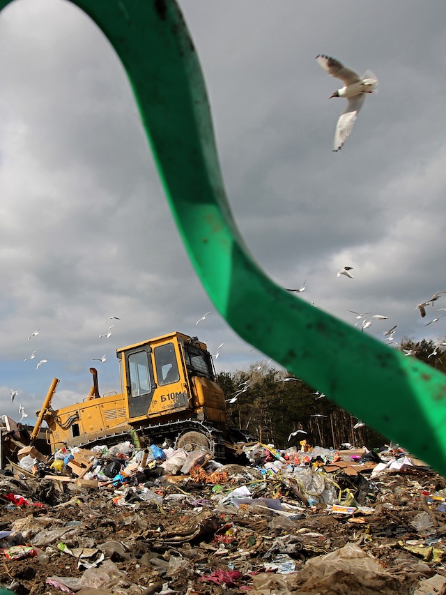 Ярославская область