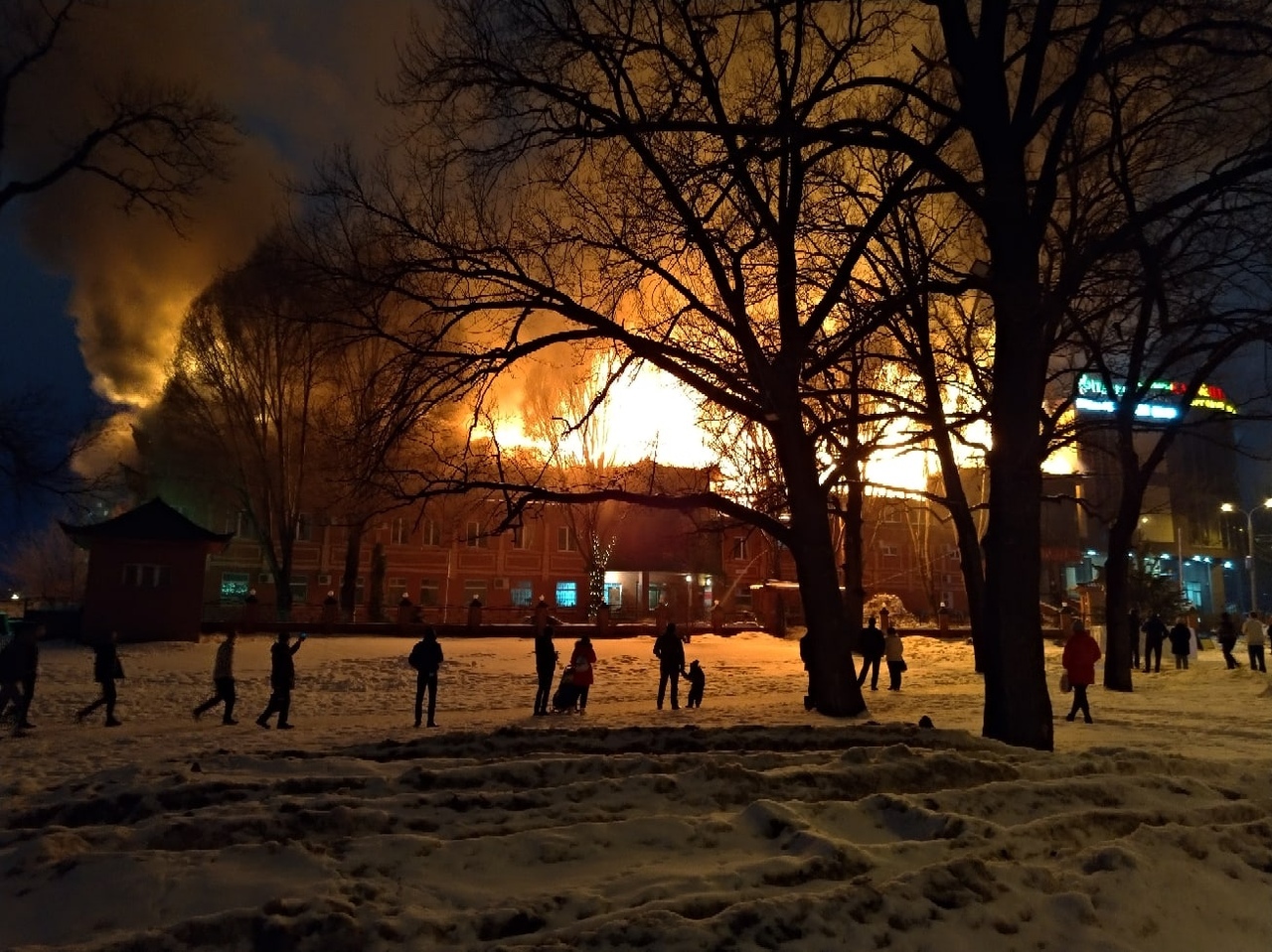 Анастасия Юдина