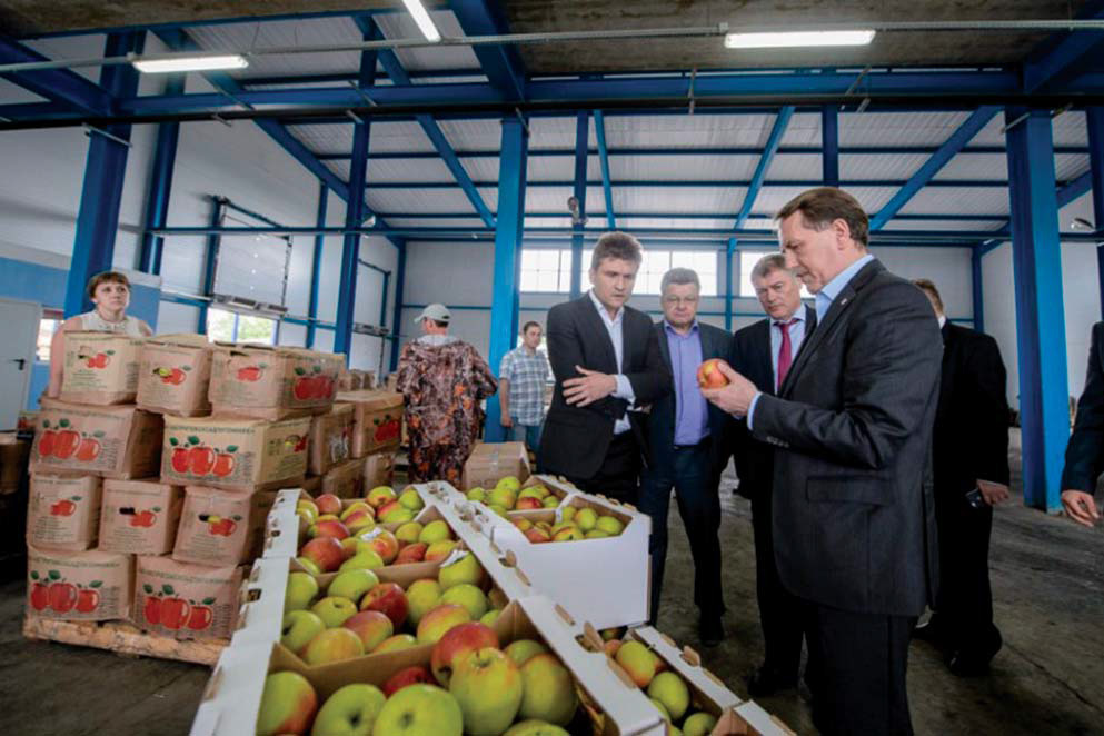 Алексей Гордеев в садах Острогожсксадпитомника