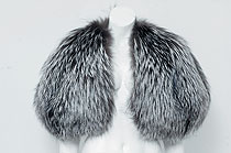 Lanvin 