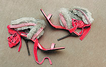 Diego Dolcini 