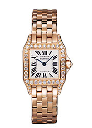 Santos Demoiselle Cartier
