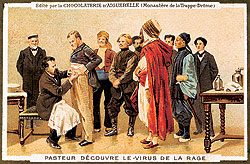 Пастер проводит вакцинацию в своей лаборатории. 1900 г.