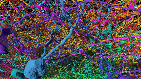 Как маленькому человеку приобщиться к большой науке