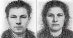 Типичные представители ильменско-белозерской зоны 