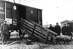 Польша перестала препятствовать транзиту советского скота, как только СССР пригрозил подложить ее промышленности большую свинью
