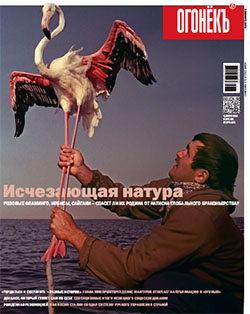 №26
