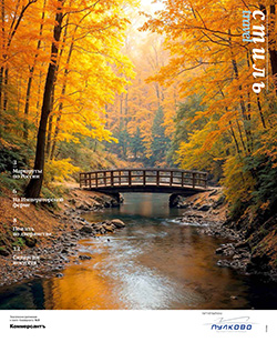 стиль travel №31