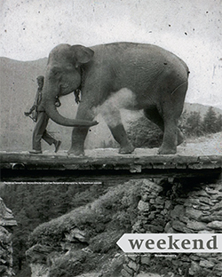 Weekend №14
