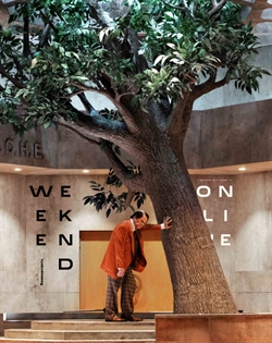 Weekend №43
