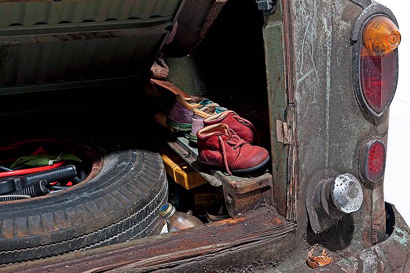 В машине вылупились во взрослую жизнь дети профессора - до сих пор в багажнике можно увидеть остатки "скорлупок". 