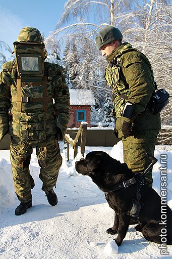 19.01.2011 Военнослужащие Южного военного округа провели под Ростовом учения, посвященные годовщине образования инженерных войск. Считается, что этот род войск появился 21 января 1701 года, когда Петр I подписал указ об образовании первой инженерной школы. Военные приняли участие в занятиях по боевой подготовке и инженерной разведке с использованием собак 