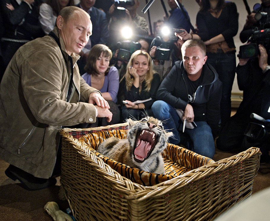 2008 год 