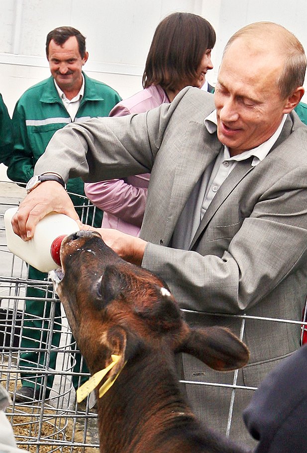 Владимир Путин на ферме Зоринские дворы (Белгород, 2007 год) 