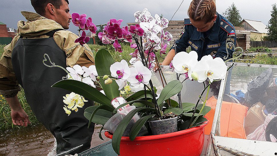 Из-за наводнения в Благовещенске взлетели цены на товары и продукты питания, поэтому власти создали специальную комиссию, которая инспектирует предприятия торговли. Сообщается, что комиссия продолжит работу по выявлению подъема цен до отмены в Благовещенске режима ЧС 