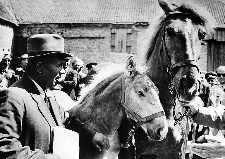В середине 1930-х годов Хрущев предложил вырубить все деревья на Садовом кольце, поскольку существовала теория, согласно которой в случае химической атаки на город ядовитые вещества будут оседать на деревьях. Насколько верным было предположение, проверить, к счастью, не довелось. Но дышать в центре Москвы стало труднее 