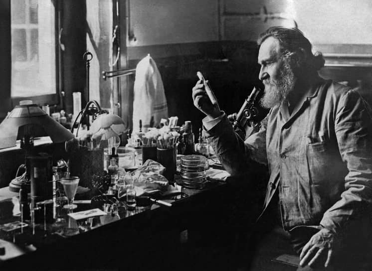 1908 год. Нобелевская премия в области физиологии и медицины присуждена русскому и французскому биологу Илье Мечникову. Основатель научной геронтологии и создатель фагоцитарной теории иммунитета, он получил награду «за труды по иммунитету» 