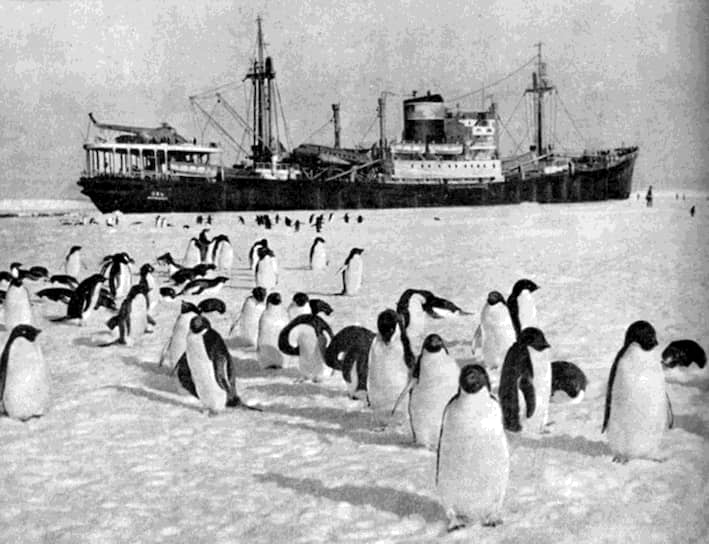 1 декабря 1959 года в Вашингтоне был заключен Договор о демилитаризации Антарктики, превращавший регион в зону, свободную от ядерного оружия. Изначально его подписали 12 стран, которые вели в Антарктике научные исследования (Аргентина, Австралия, Бельгия, Чили, Франция, Япония, Новая Зеландия, Норвегия, Южно-Африканский Союз, СССР, Великобритания и США). Документ вступил в силу 23 июня 1961 года, его участниками являются 54 страны