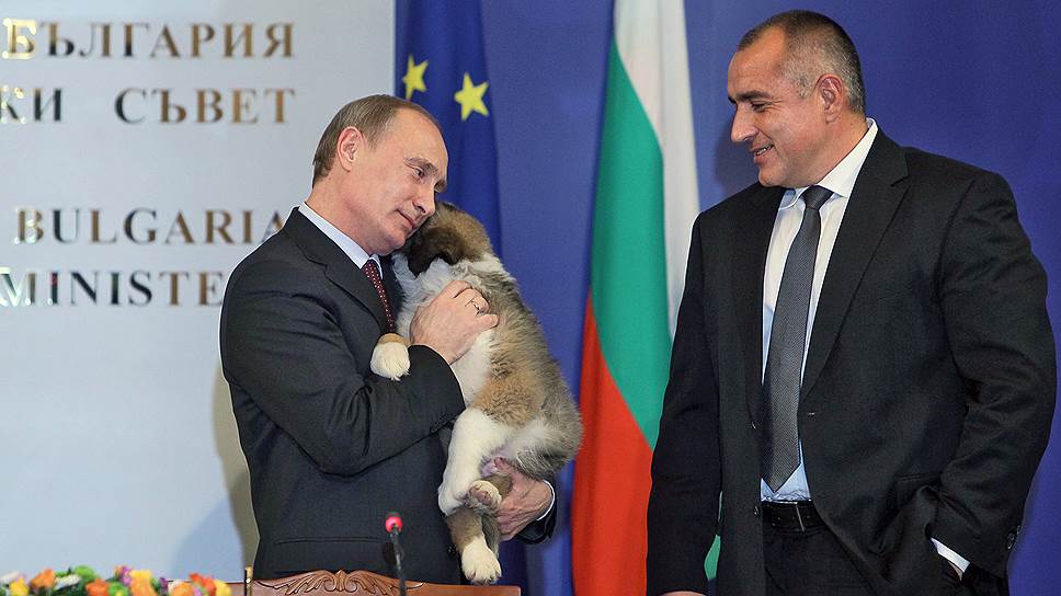 В 2010 году премьер-министр Путин получил в подарок от болгарского коллеги Бойко Борисова щенка болгарской каракачанской овчарки Баффи. «Я подарил Владимиру Путину болгарскую собаку и надеюсь, что эта типично болгарская порода будет ему в радость»,— сказал тогда премьер-министр Болгарии