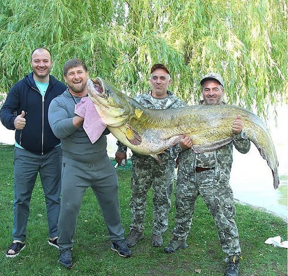 В июне 2015 года глава Чечни Рамзан Кадыров выловил сома весом около 70 кг недалеко от Гудермеса 