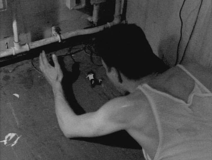 В возрасте 26 лет короткометражный фильм «Воровство» Нолана показали на кинофестивале в Кембридже. В тоже время режиссер снимает и другую короткометражку с участием своего друга актера Джереми Теобальда. Фильм «Жук-скакун» рассказывал историю об обычном с виду человеке, который одержим желанием убить насекомое 