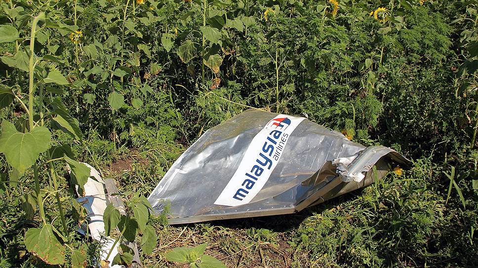 Родственники жертв катастрофы MH17 подали иск к России