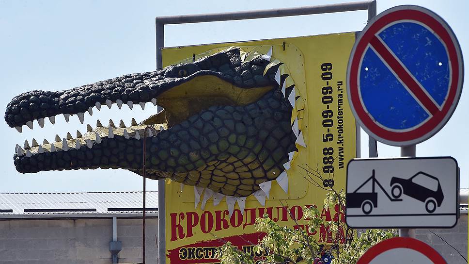 Посещение крокодиловой фермы — главное развлечение в Анапе