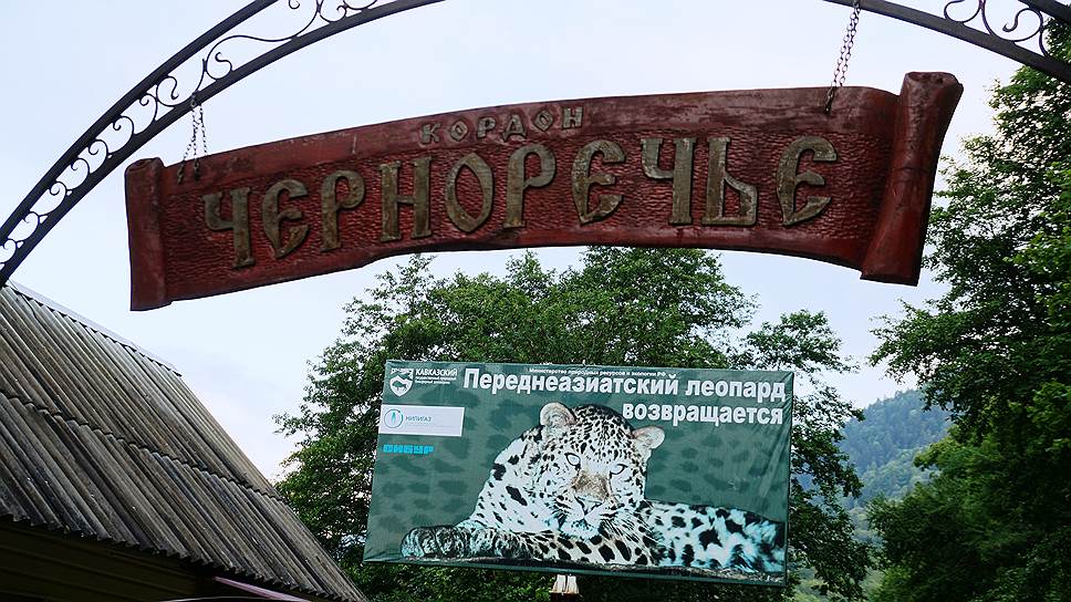 На кордоне «Черноречье» сотрудники заповедника живут круглый год. Отсюда инспекторы отправляются на патрулирование территорий 