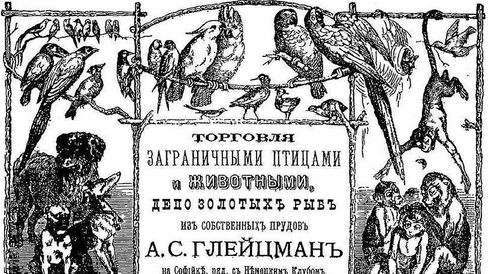 Русские умельцы с удовольствием покупали иноземных птиц и начинали разводить их на экспорт