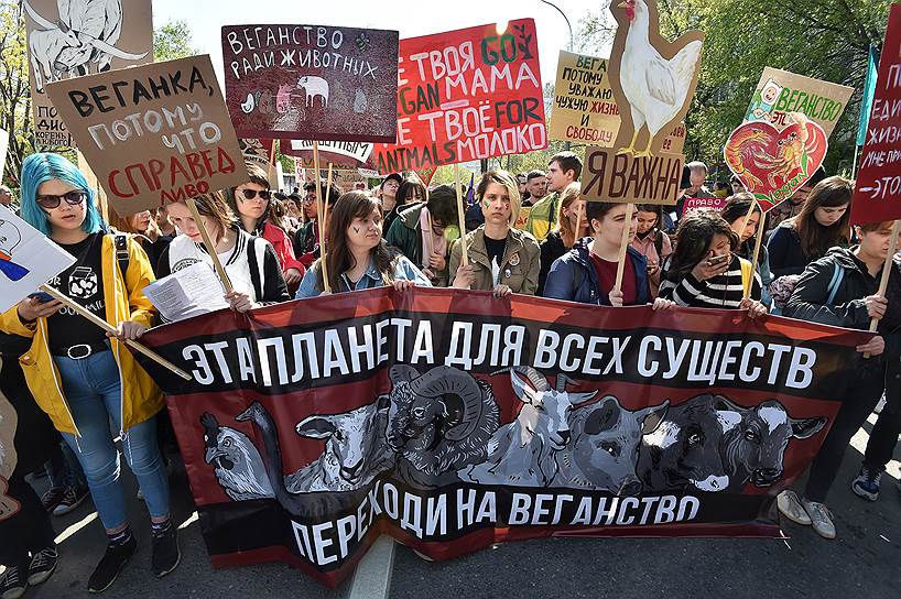 Продолжалось шествие флагами и лозунгами Организации перевозчиков России, Российской рабочей партии («Курьеры, объединяйтесь против эксплуатации!»), лозунгами веганов («Не ешь мясо!») и жалобами психоактивистов («Быть психом дорого!») 