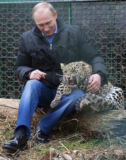 , помимо России, обитает в странах Закавказья, а также Казахстане, Иране, Афганистане, Пакистане, Туркменистане и Турции. Во всех странах обитания он находится под охраной. В 2006 году в России была утверждена программа, предполагающая размножение леопарда в Сочинском национальном парке с последующим выпуском потомства в Кавказский заповедник