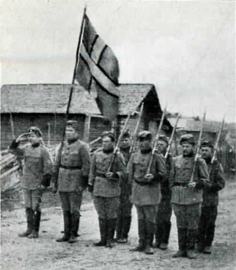 У Республики Северная Ингрия были многие обязательные атрибуты независимого государства, в том числе собственные вооруженные силы 