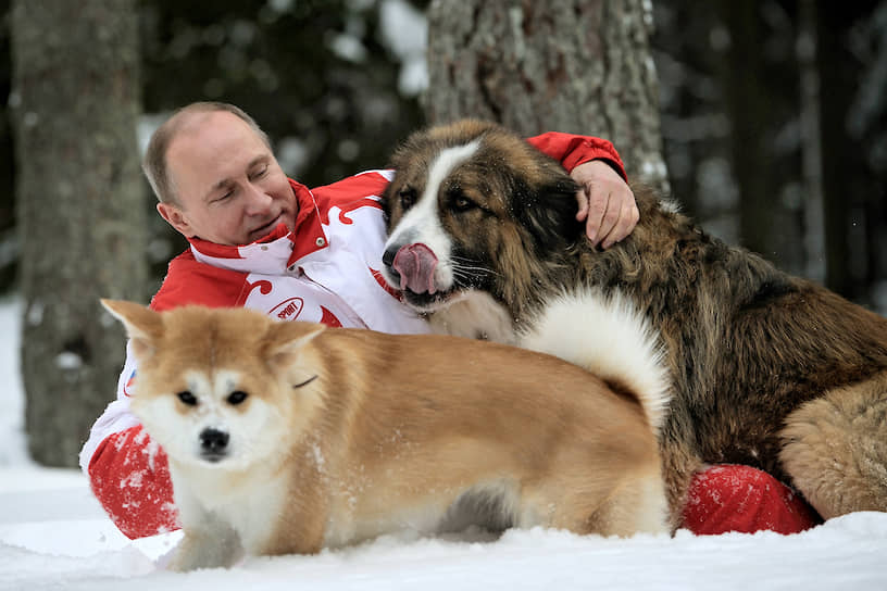 Владимир Путин  . Так, в 2015 году тульская школьница Эвелина Савушкина стала обладательницей белого лабрадора, а казанской школьнице Светлане Медведовой достался щенок немецкой овчарки. В 2018 году в ответ на письмо с новогодним пожеланием Владимир Путин прислал семилетней Валерии Шаталовой щенка хаски. В 2019 году он подарил щенка золотистого ретривера мальчику-аутисту из Красноярска 