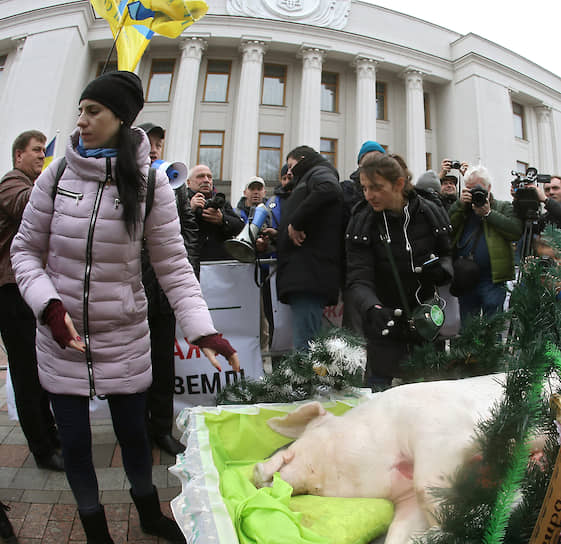 Акция протеста у здания Верховной Рады Украины против принимаемого проекта закона о продаже сельскохозяйственной земли 