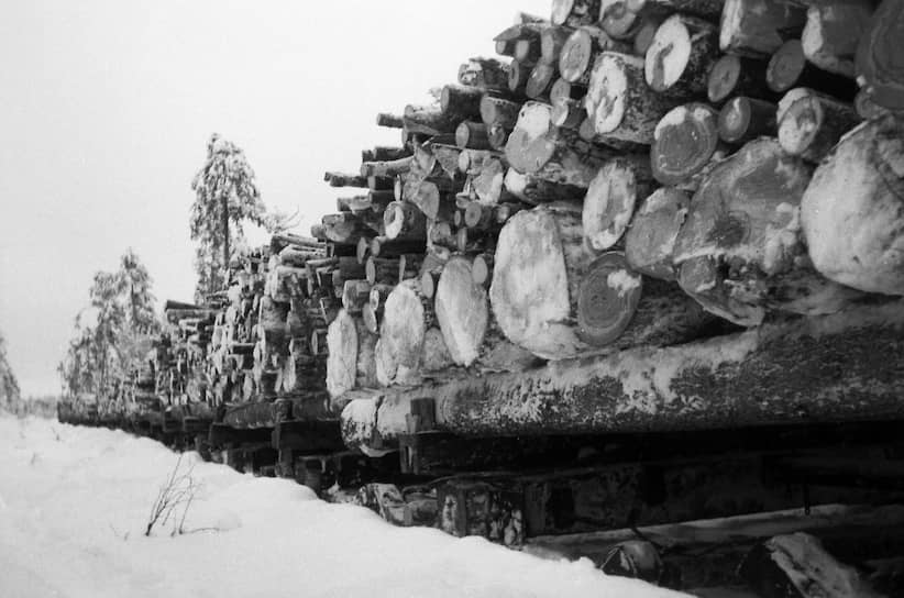 Партия и правительство увеличивали прибыль от лесоэкспорта, сократив до нуля расходы на снабжение спецпоселенцев 