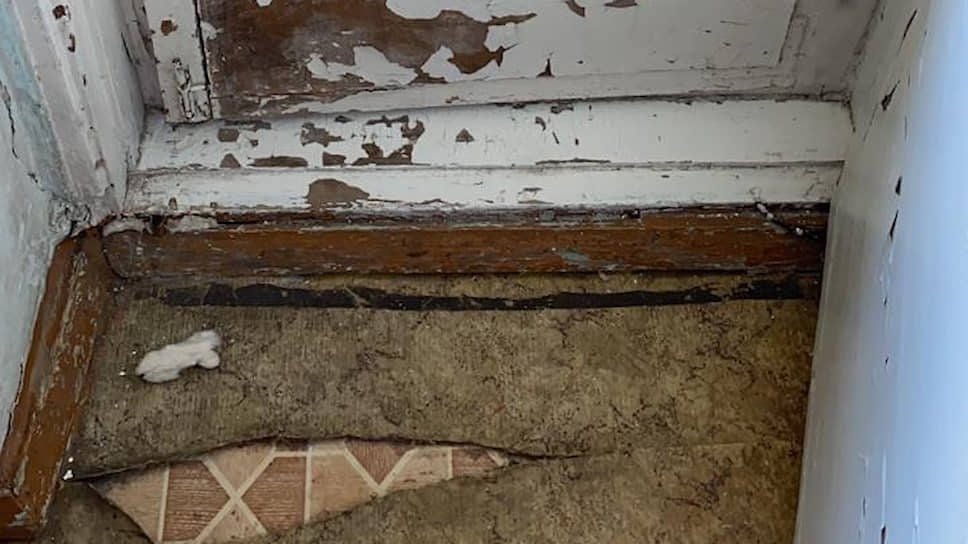 Обсервация Новосибирска