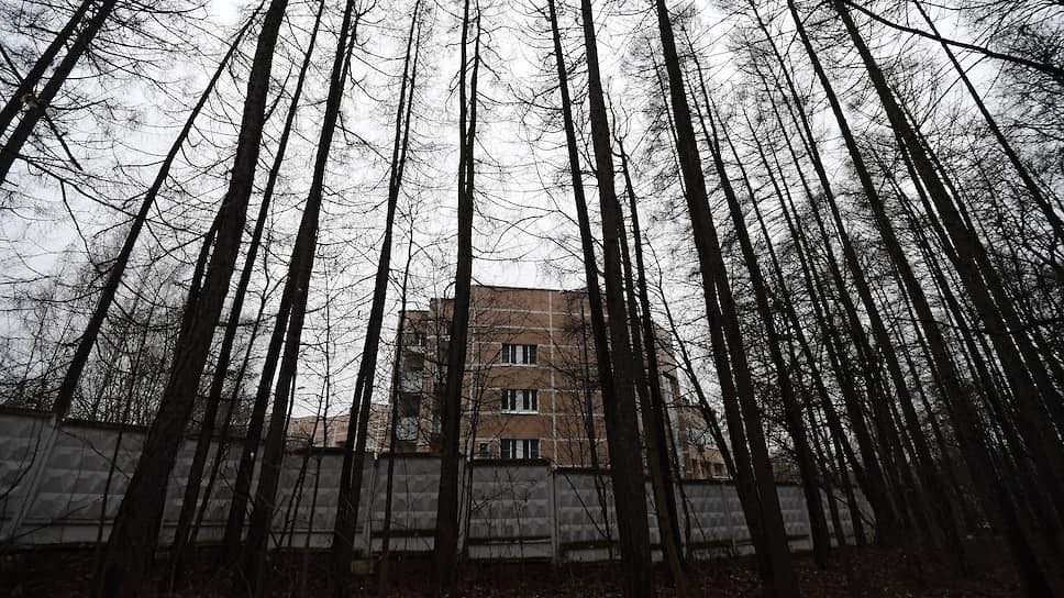 Центр реабилитации инвалидов «Царицыно»