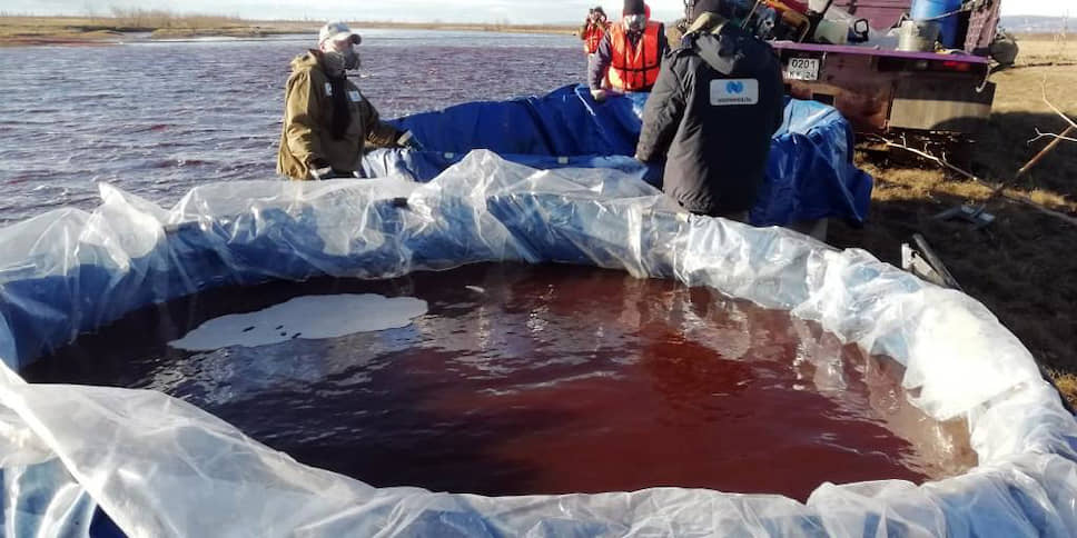Глава Росприроднадзора Светлана Радионова оценила ущерб в «не один десяток, возможно сотни миллиардов рублей»