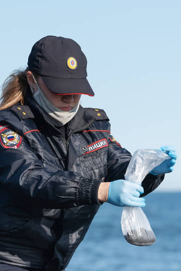 4 октября в Москву самолетом были отправлены 250 кг груза, состоящего из проб воды, песка и образцов погибших животных и моллюсков с тихоокеанского берега Камчатки. Груз будет передан сотрудникам российских центров токсикологии, химии и биологии 