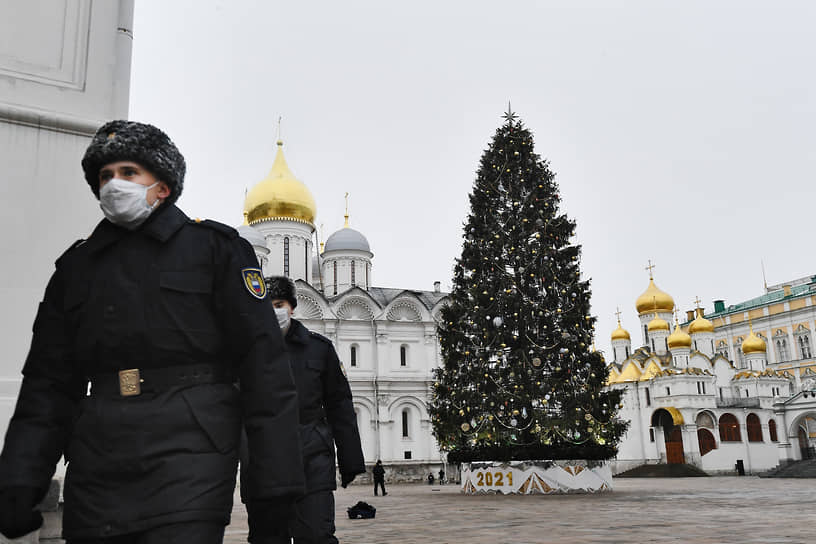  На украшение новогодней елки на Соборной площади Кремля ушло около 1100 игрушек и 2400 метров гирлянд. Управделами президента потратило на елку 7,9 млн руб. Ее срубили 9 декабря в Наро-Фоминском лесничестве. Высота елки составляет 25 м, диаметр ствола — 60 см, возраст — 96 лет. В этом году оформление выполнено по мотивам сказки «Морозко», а цветовое решение повторяет купола Соборной площади — это белые, золотые и серебряные игрушки 