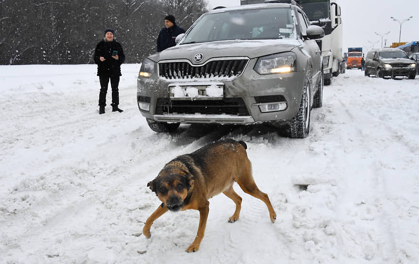 Зимняя дорога