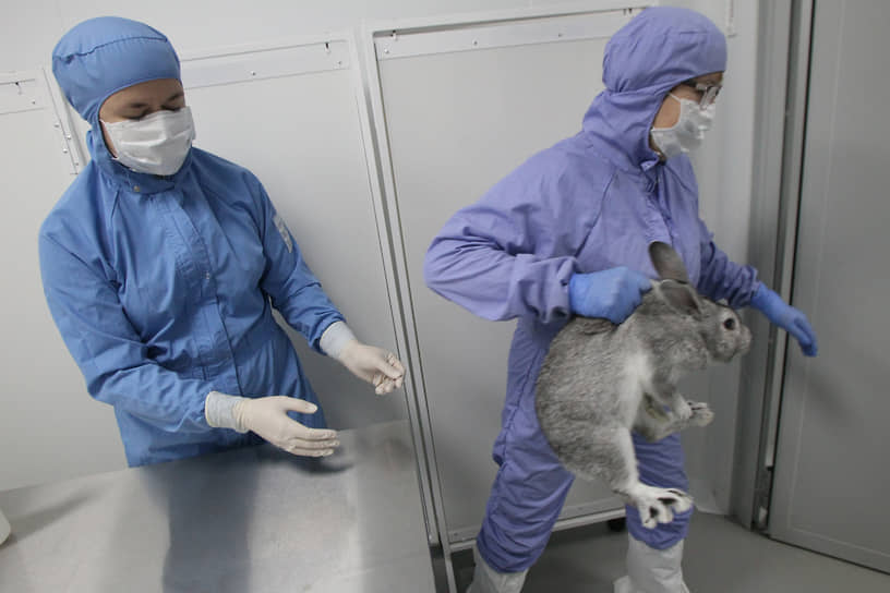 Значок прыгающего кролика (TheLeapingBunny) был введен британской организацией Cruelty Free International и подтверждает этичность продукции компании. В настоящий момент свыше 600 компаний в мире удостоились признания этичности в отношении животных 
