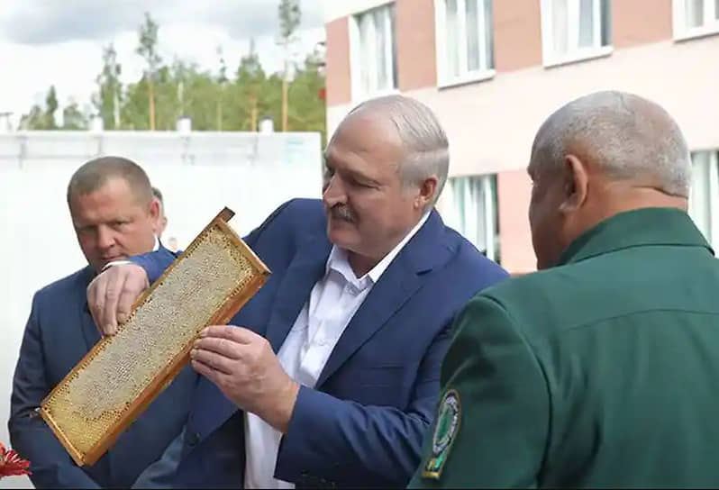регулярно посещает местные пасеки в ходе рабочих поездок. На одной из таких встреч глава государства рассказал пчеловодам, что имеет такое же хобби: «У меня две пасеки: одна сорок, а вторая пятьдесят семей. Мед у меня всегда на столе. Утром, в обед и вечером — ложку. Большую ложку»