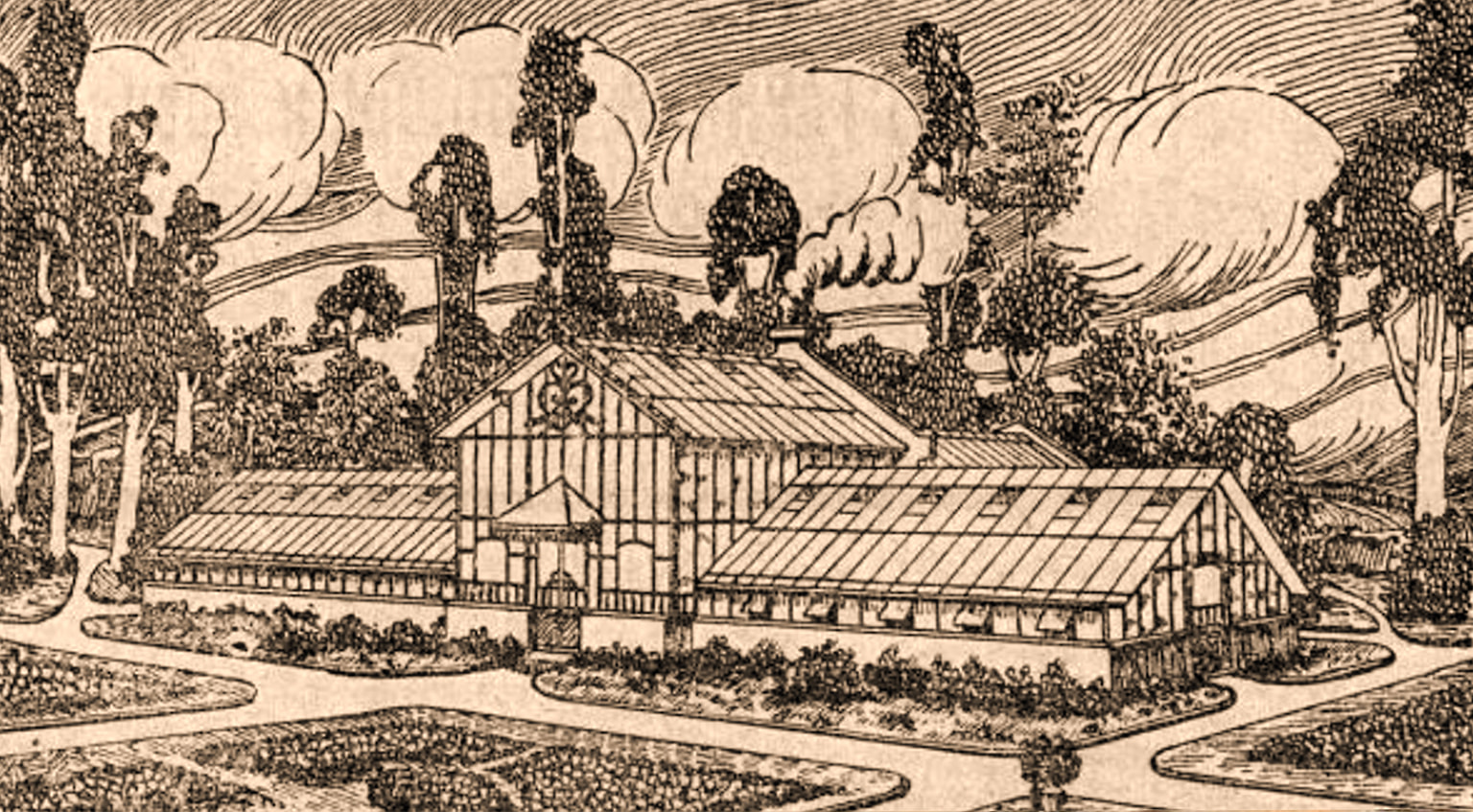 «Тогда как многие из живших век вкусу ананасов не знали, он их в обильстве имел и первый из приватных завел ананасовую большую оранжерею» 