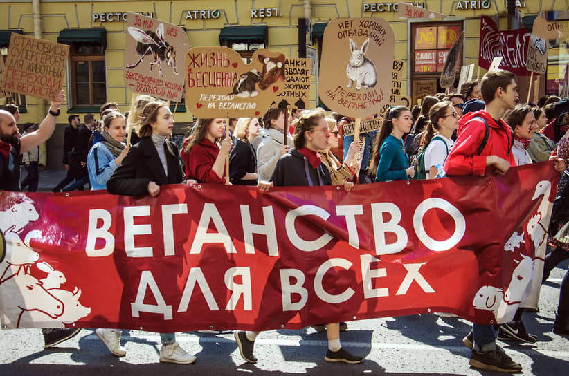 Необоснованный отказ от животной пищи приводит к дефициту необходимых организму веществ 