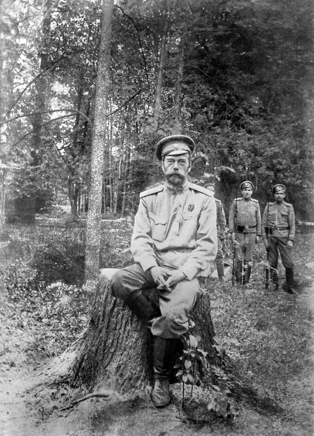 «Признать,— говорилось в решении Временного правительства от 7 марта 1917 года,— отрекшегося императора Николая II и его супругу лишенными свободы и доставить отрекшегося императора в Царское Село» 