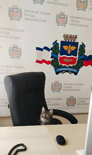 В администрации Симферополя проживает кот Филимон Филимонович Пчелкин. По словам главы администрации Симферополя Михаила Афанасьева, питомец — настоящий трудоголик, он носит полосатый жилет и каждый день встречает сотрудников и посетителей администрации