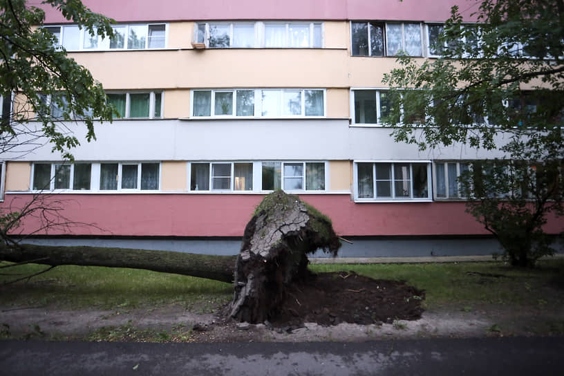 В Санкт-Петербурге 1 июля во второй половине дня аномальная жара сменилась ураганом и грозой